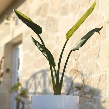 Casa Di Pietra